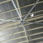 11ft 1000mm مروحة سقف / 3.4 م 6 شفرة مروحة السقف لورشة الصناعية