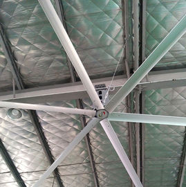 AWF49 مراوح سقف كبيرة / مراوح سقف صناعية كبيرة مع 6 شفرات